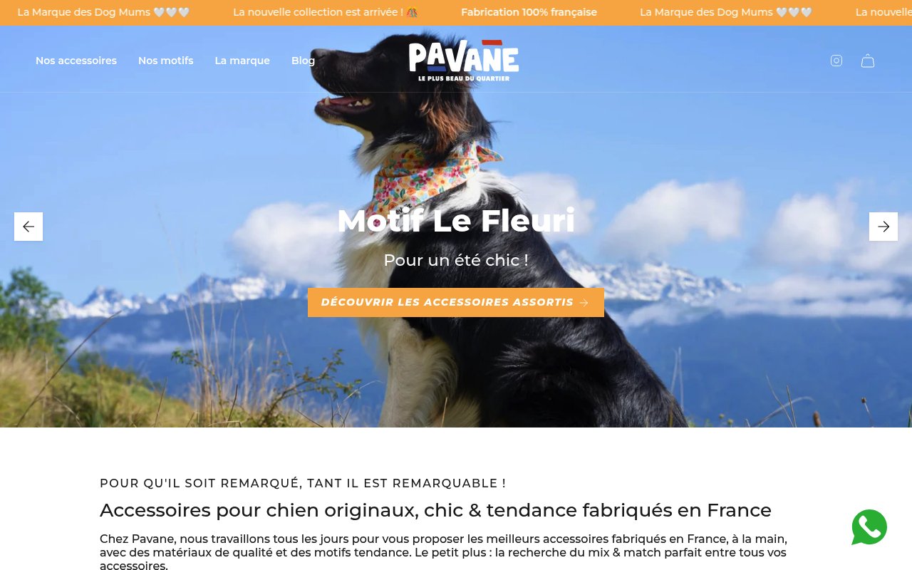 Apercu du site PAVANE