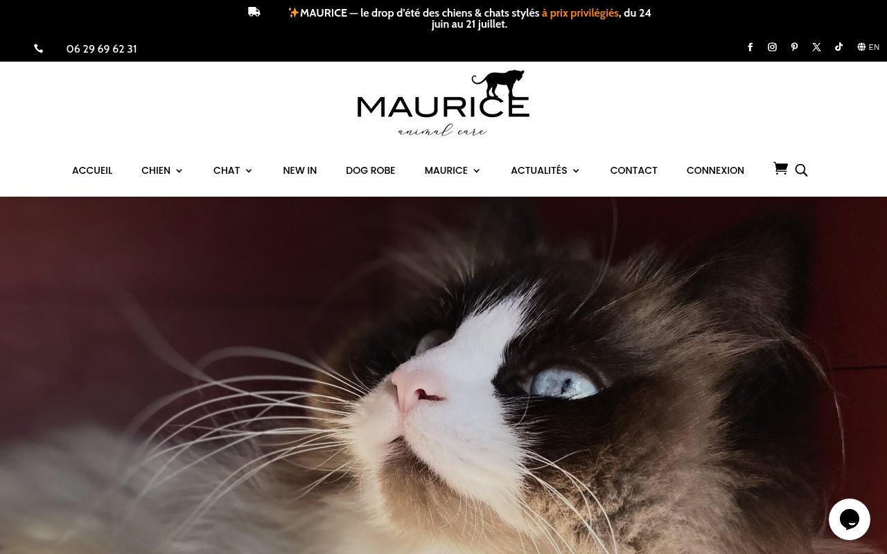 Apercu du site MAURICE