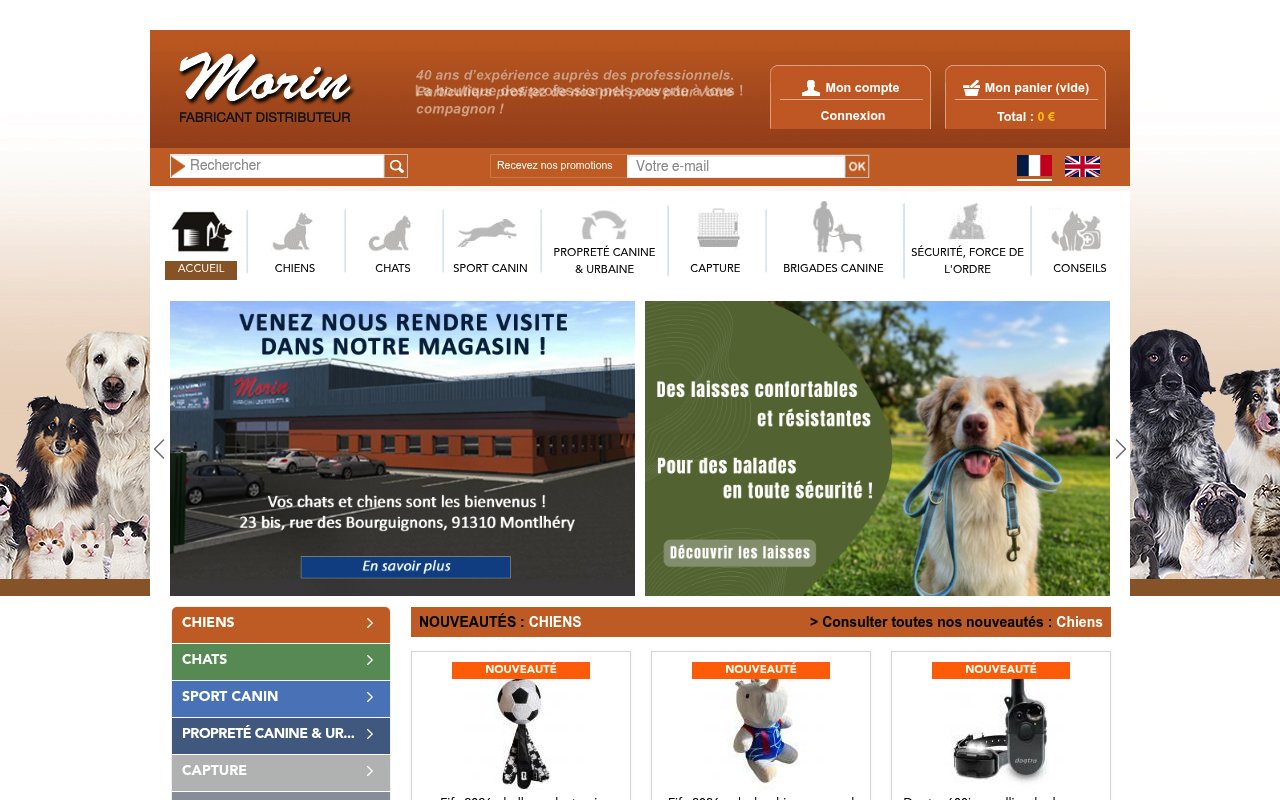Apercu du site Morin