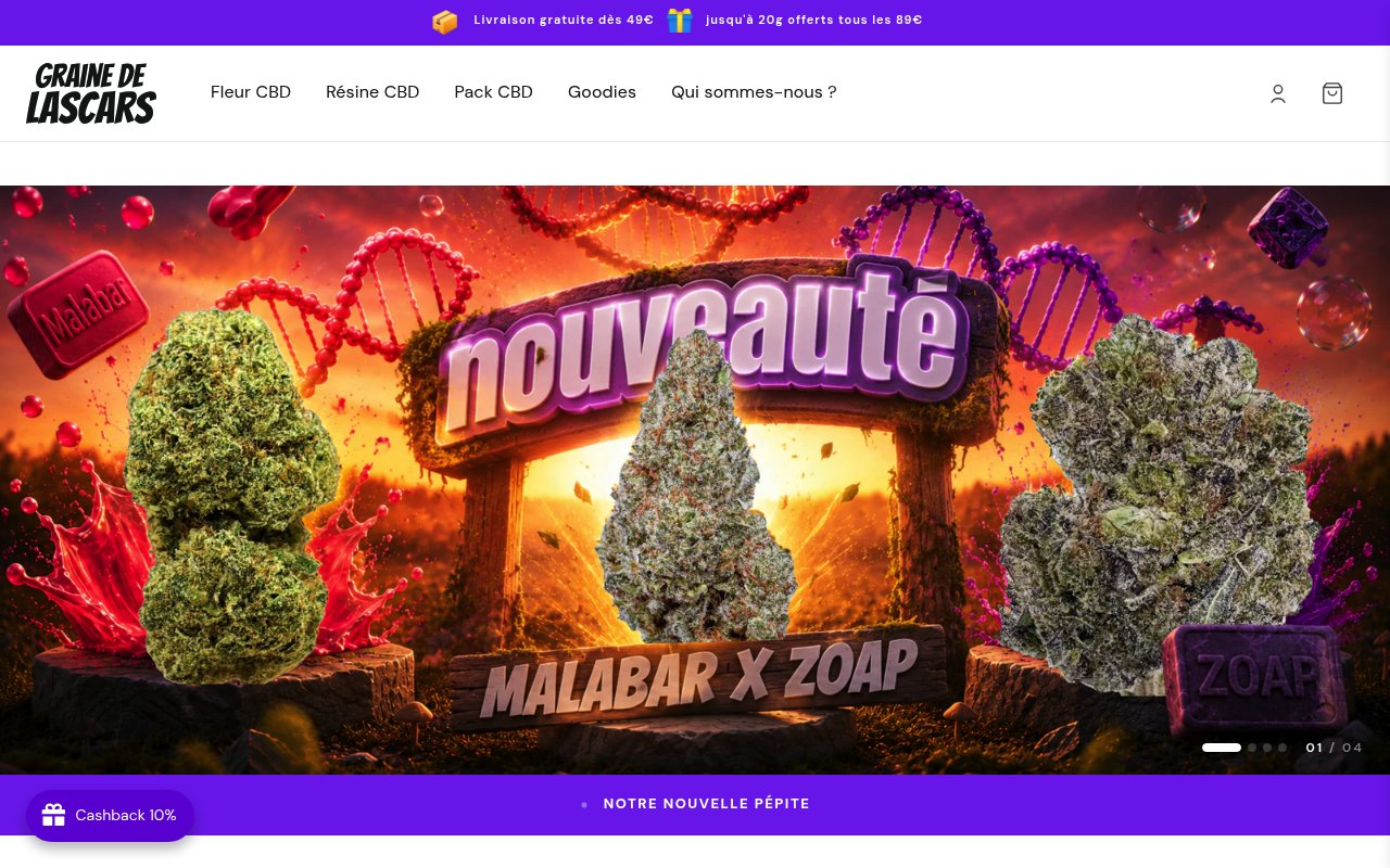 Apercu du site Graine de Lascars
