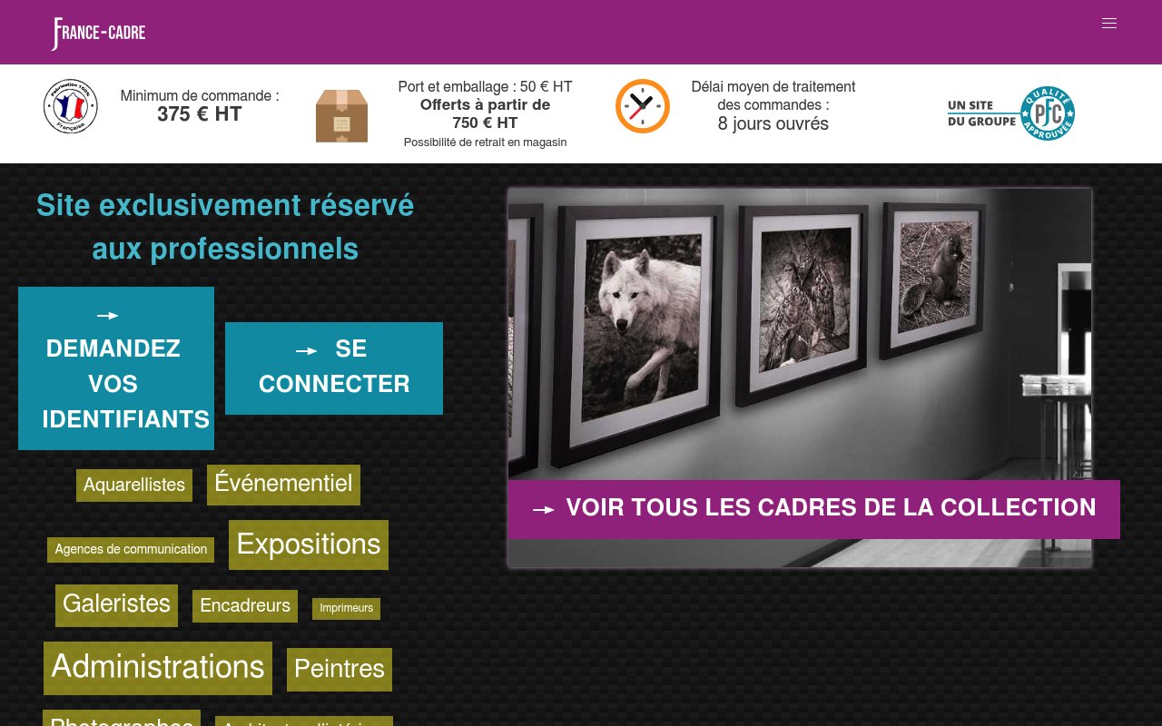 Apercu du site France Cadre