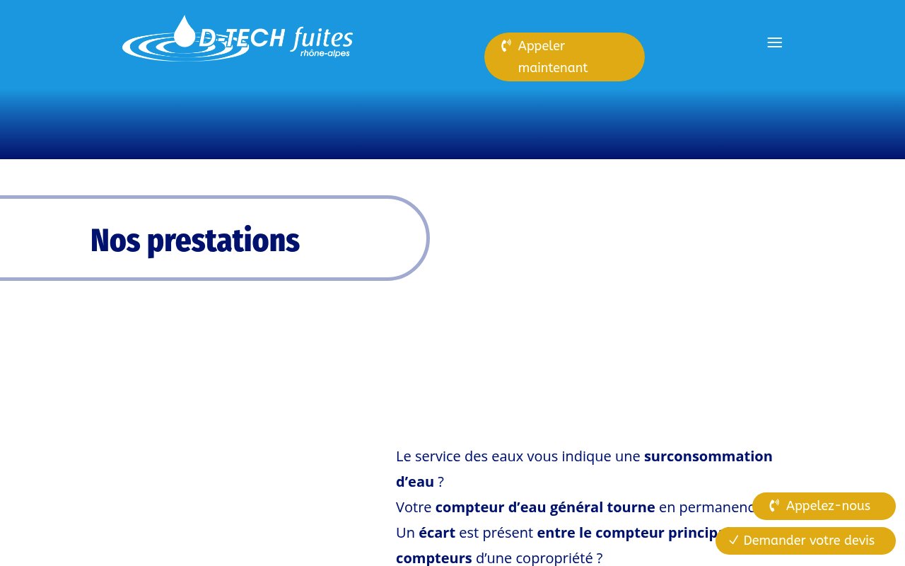 Apercu du site D Tech Fuites