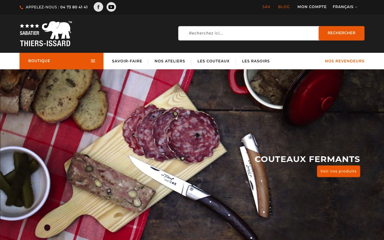 Apercu du site Thiers-Issard