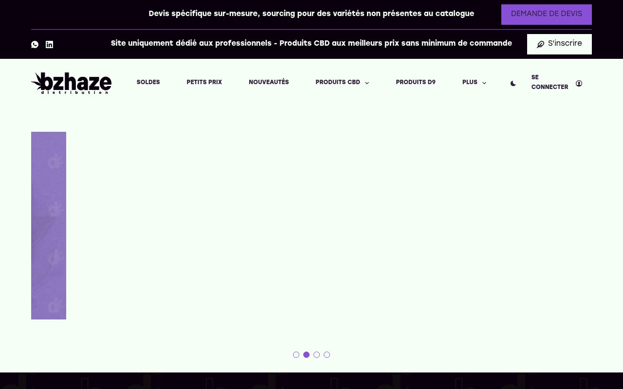 Apercu du site Bzhaze