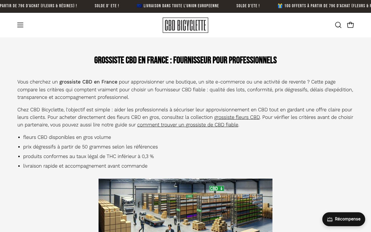 Apercu du site CBD Wholesale France
