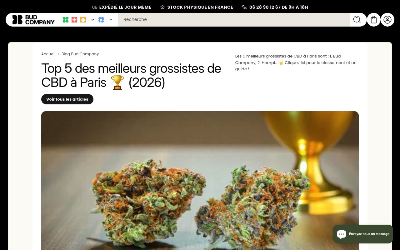 Apercu du site Bud Company