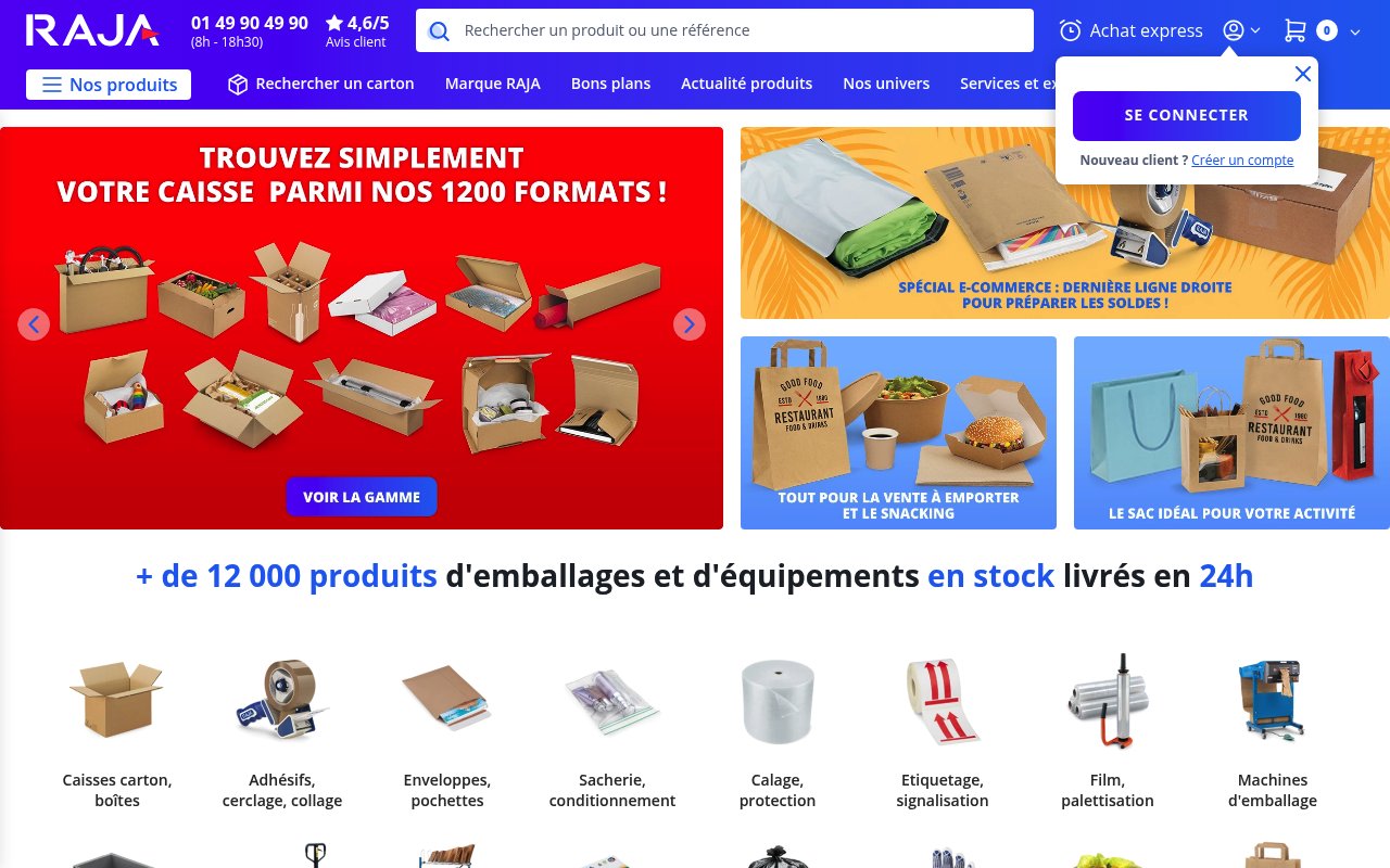 Apercu du site RAJA