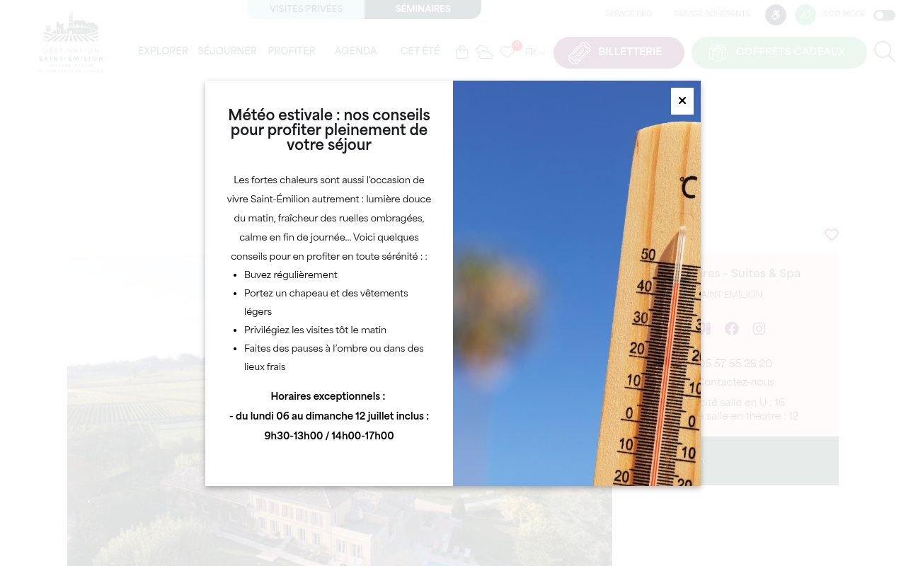 Apercu du site Suites & Spa Saint Emilion