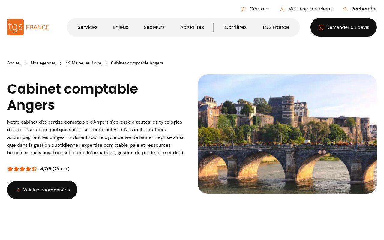 Apercu du site TGS France – Agence d’Angers