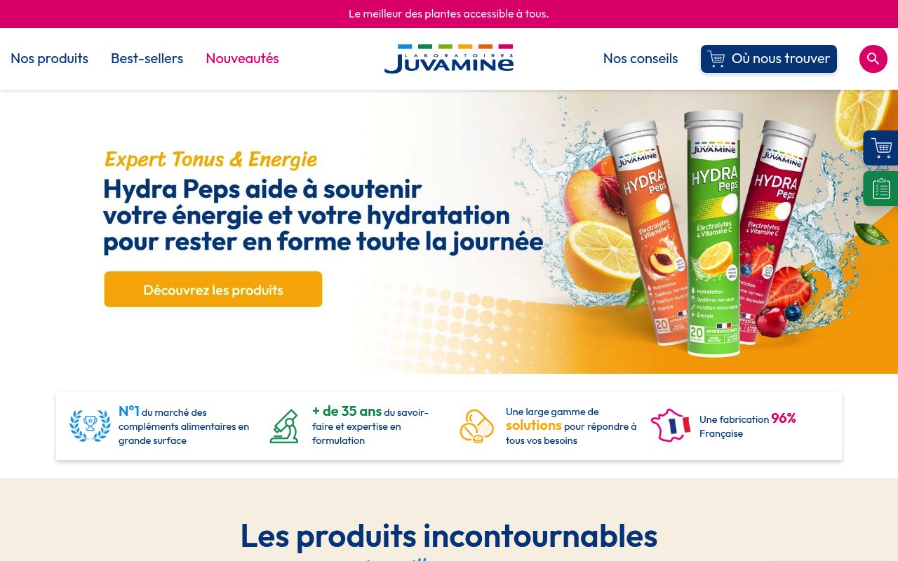 Apercu du site Juvamine