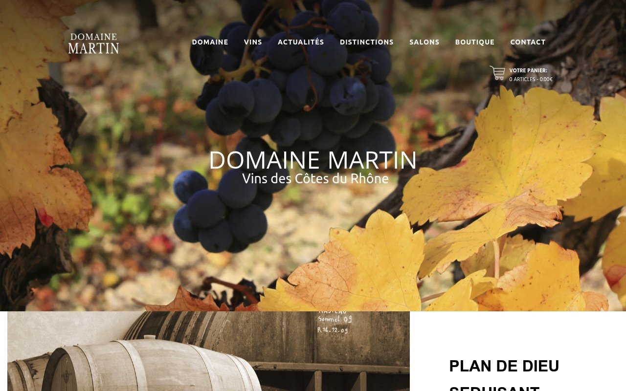 Apercu du site Domaine Martin