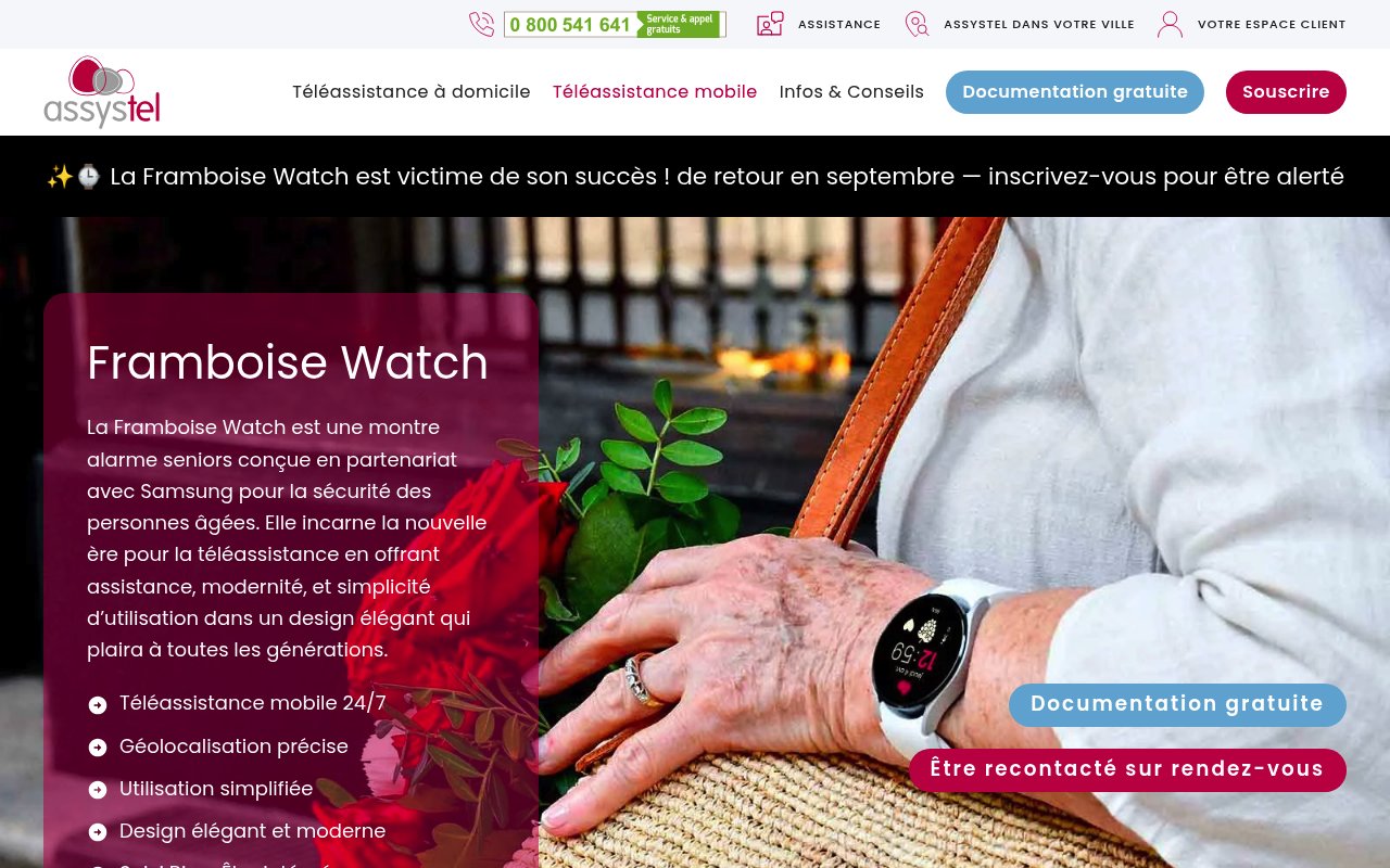 Apercu du site Assystel