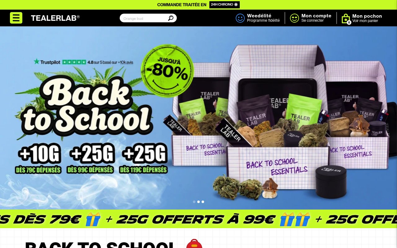 Apercu du site TealerLab