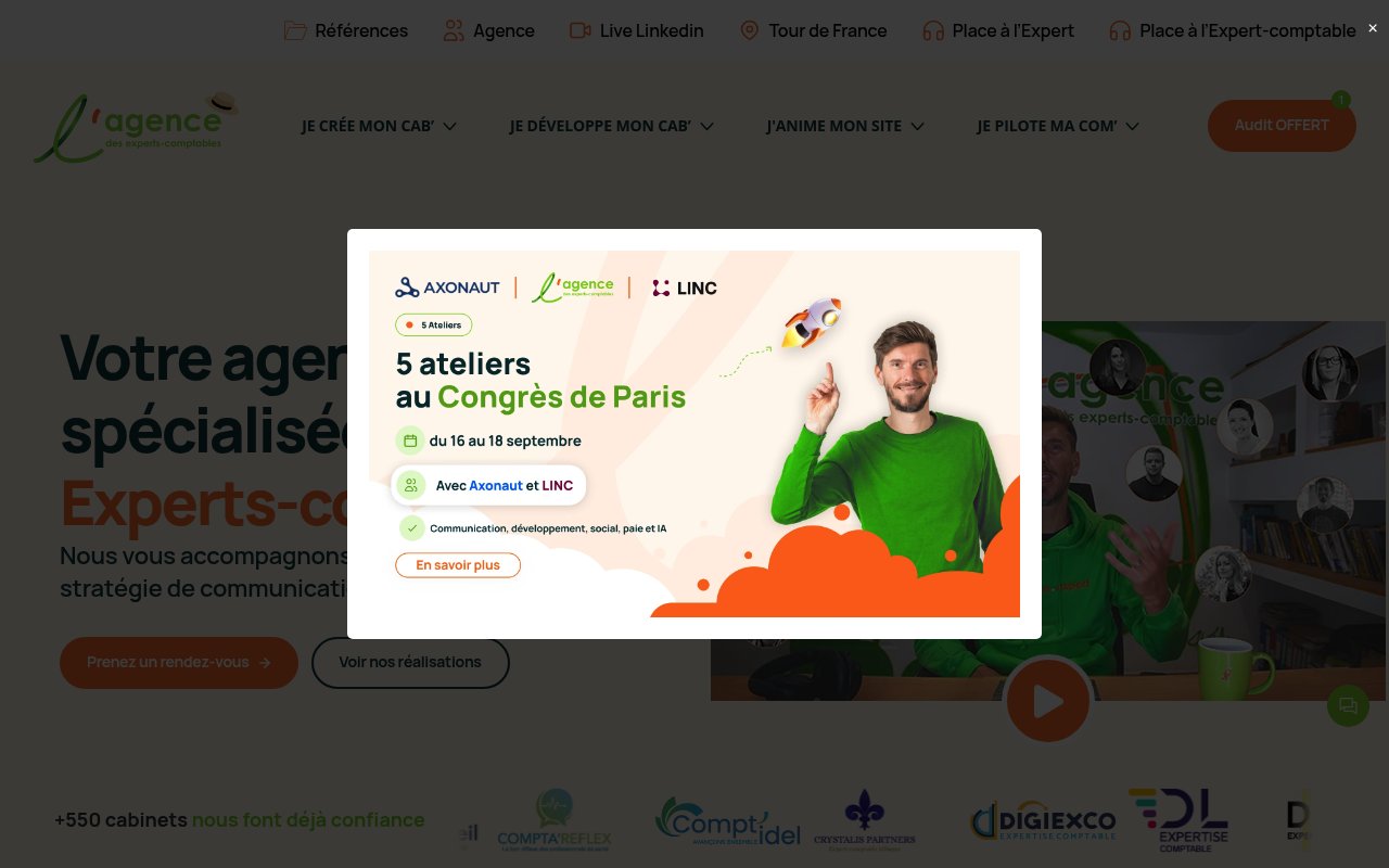 Apercu du site L’Agence Expert