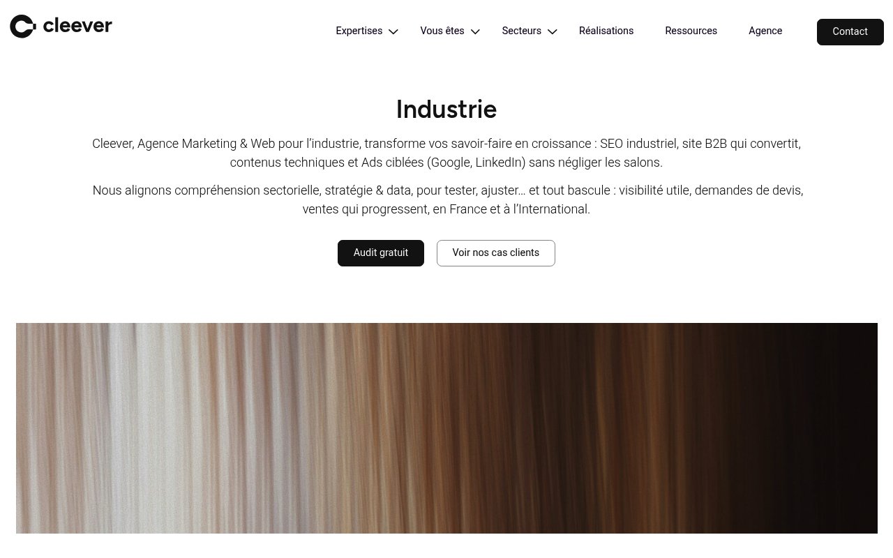 Apercu du site Cleever