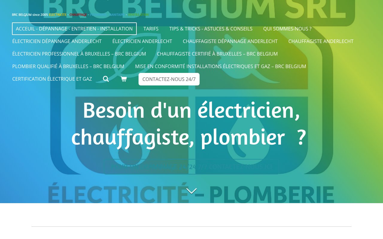 Apercu du site BRC Belgium