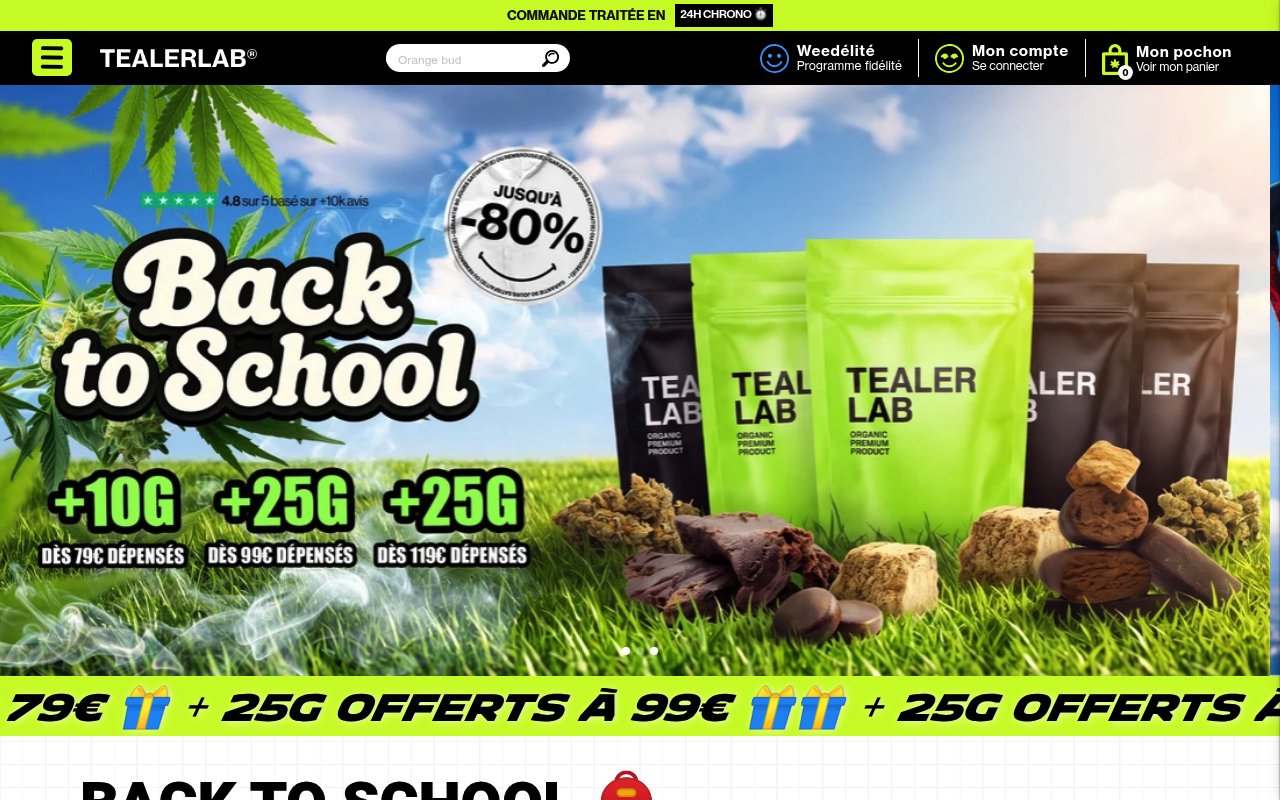 Apercu du site TealerLab