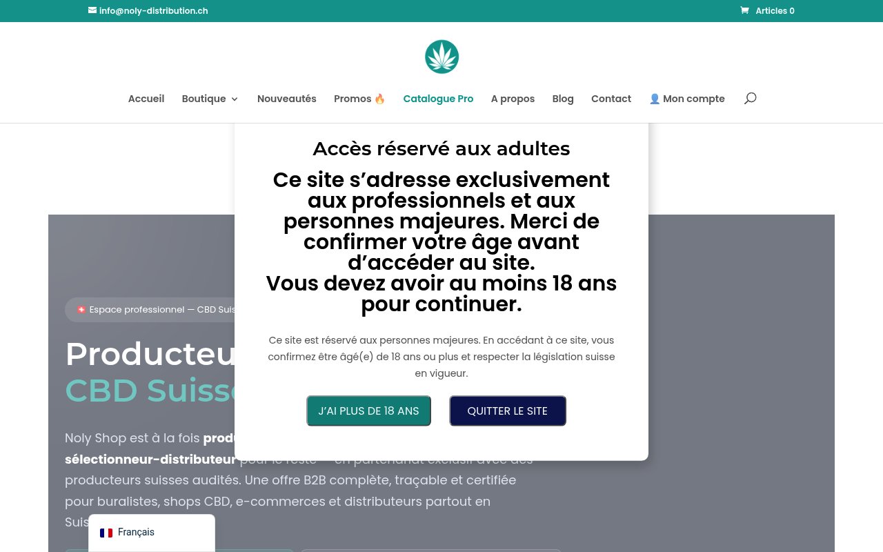 Apercu du site Noly Shop