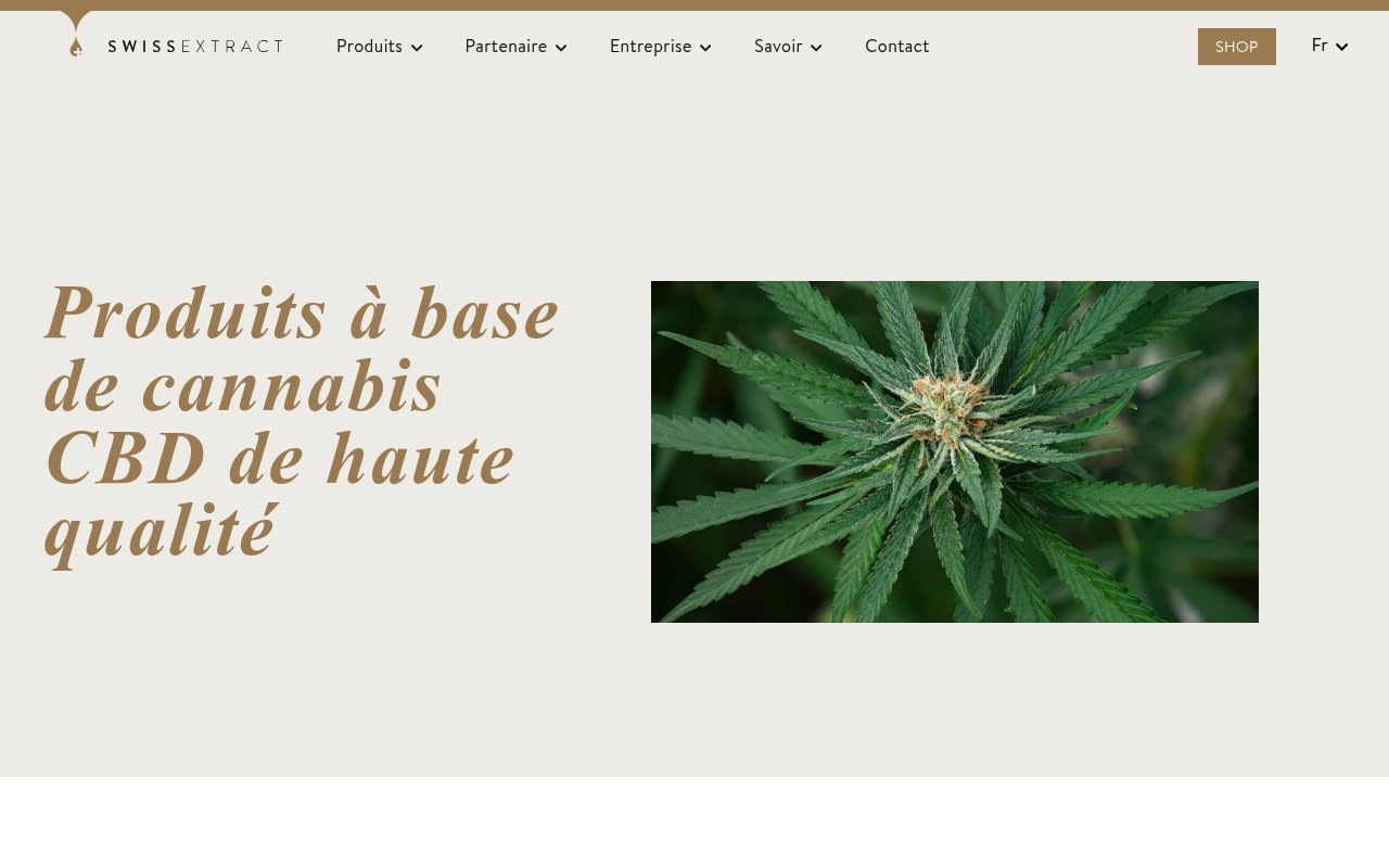 Apercu du site SwissExtract