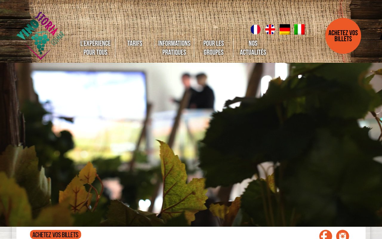 Apercu du site Musée des Vins d'Alsace Colmar
