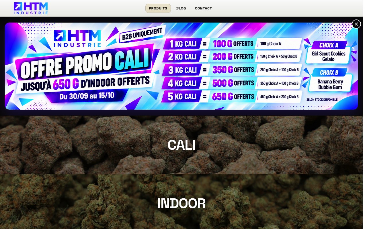 Apercu du site HTM Industrie