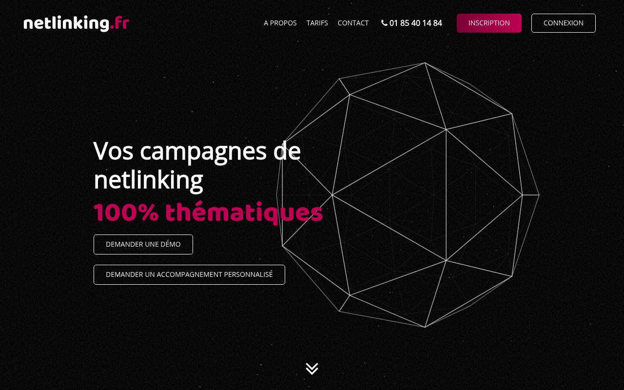 Apercu du site Netlinking.fr