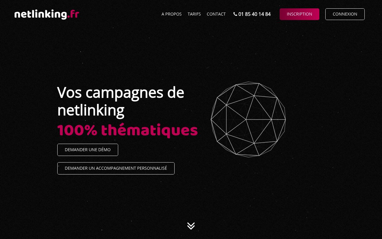 Apercu du site Netlinking.fr