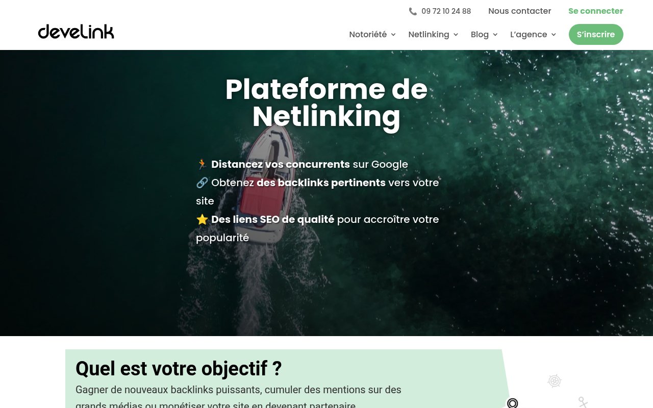 Apercu du site Develink