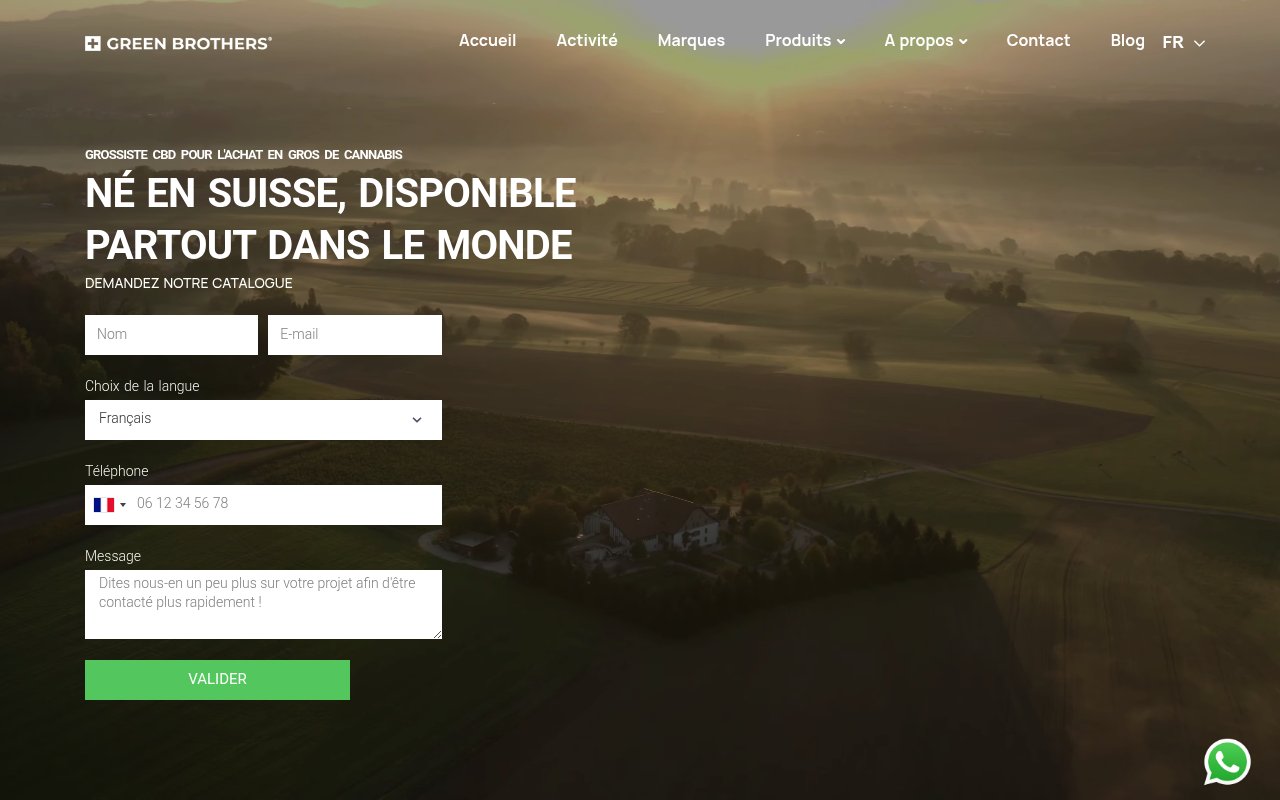 Apercu du site greenbrothers.com