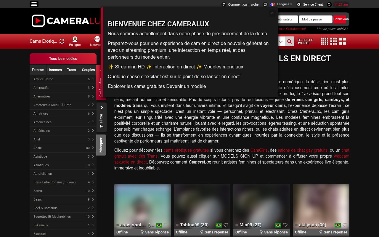 Aperçu du site CameraLux France