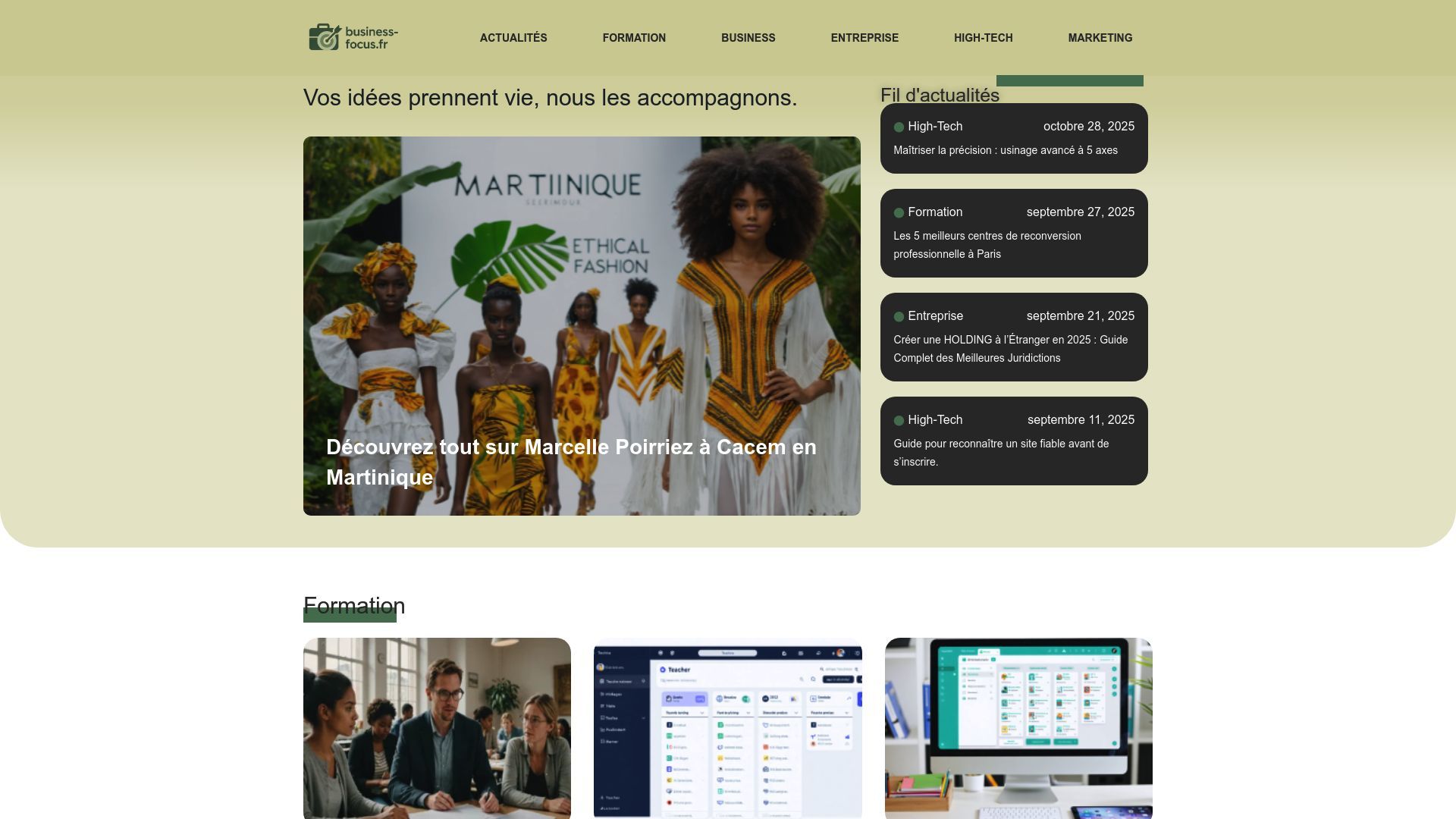 Aperçu de business-focus.fr