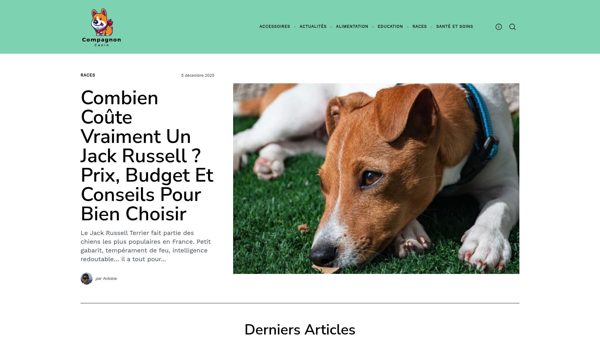 Aperçu de compagnon-canin.fr