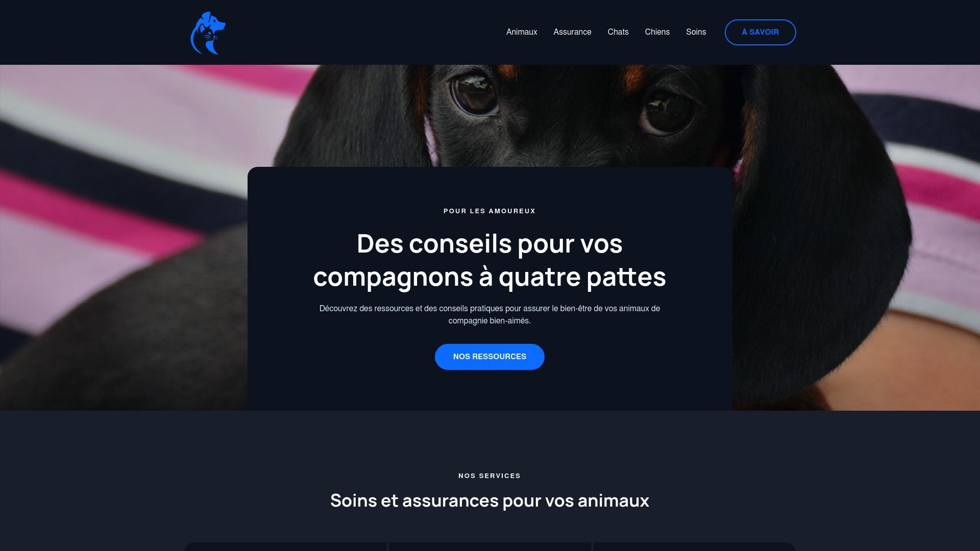 Aperçu de lesjoliespattes.fr