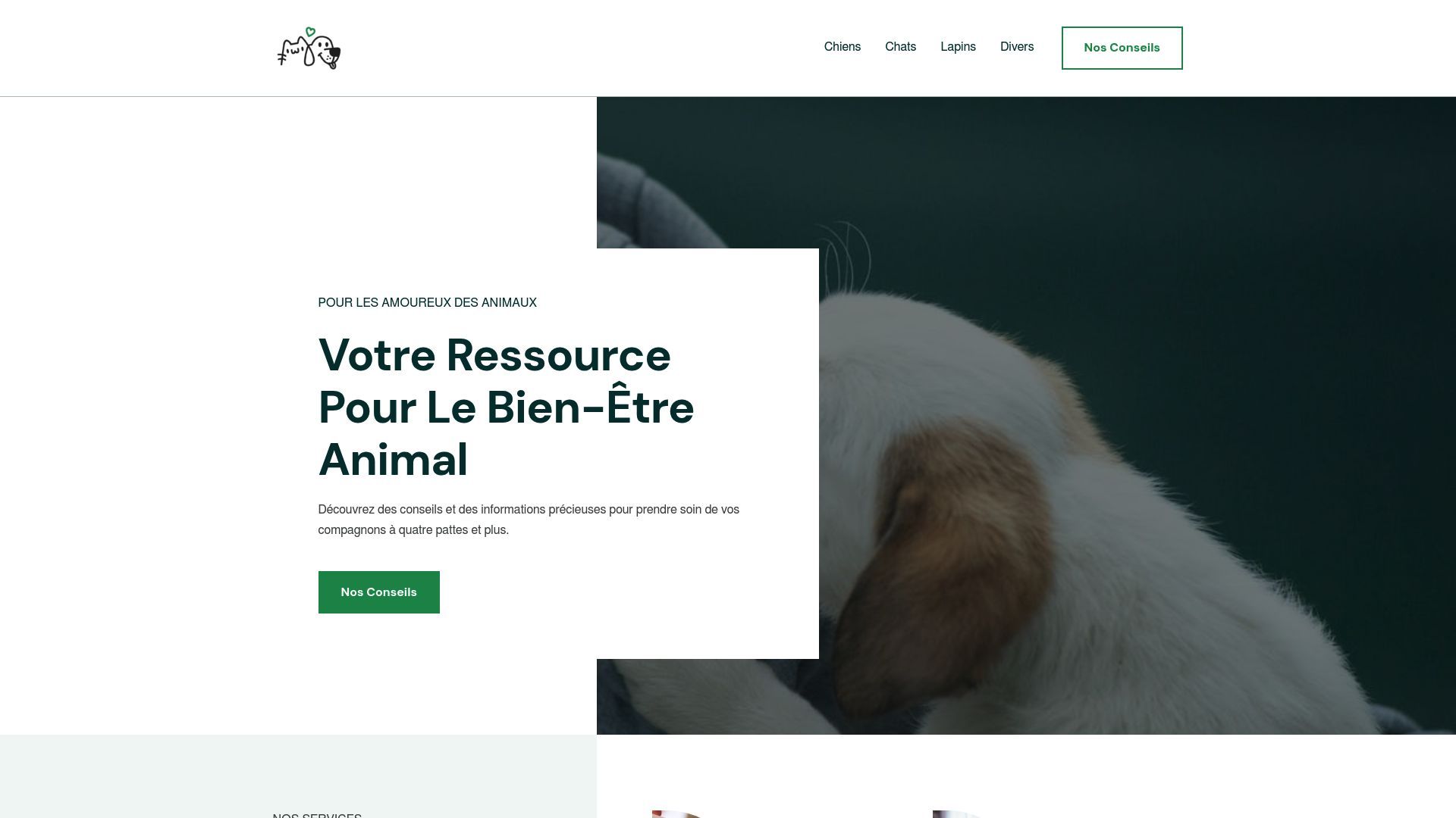 Aperçu de numeli.fr