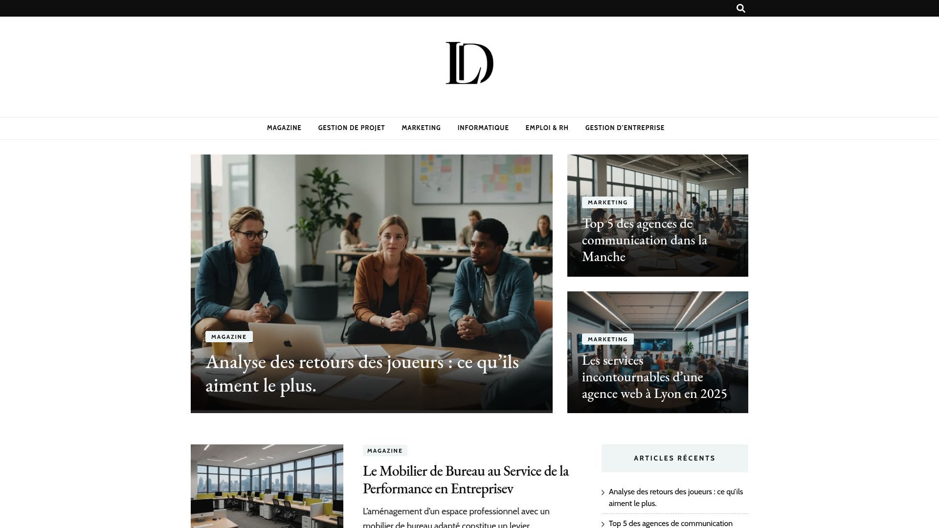 Aperçu de le-dirigeant.com