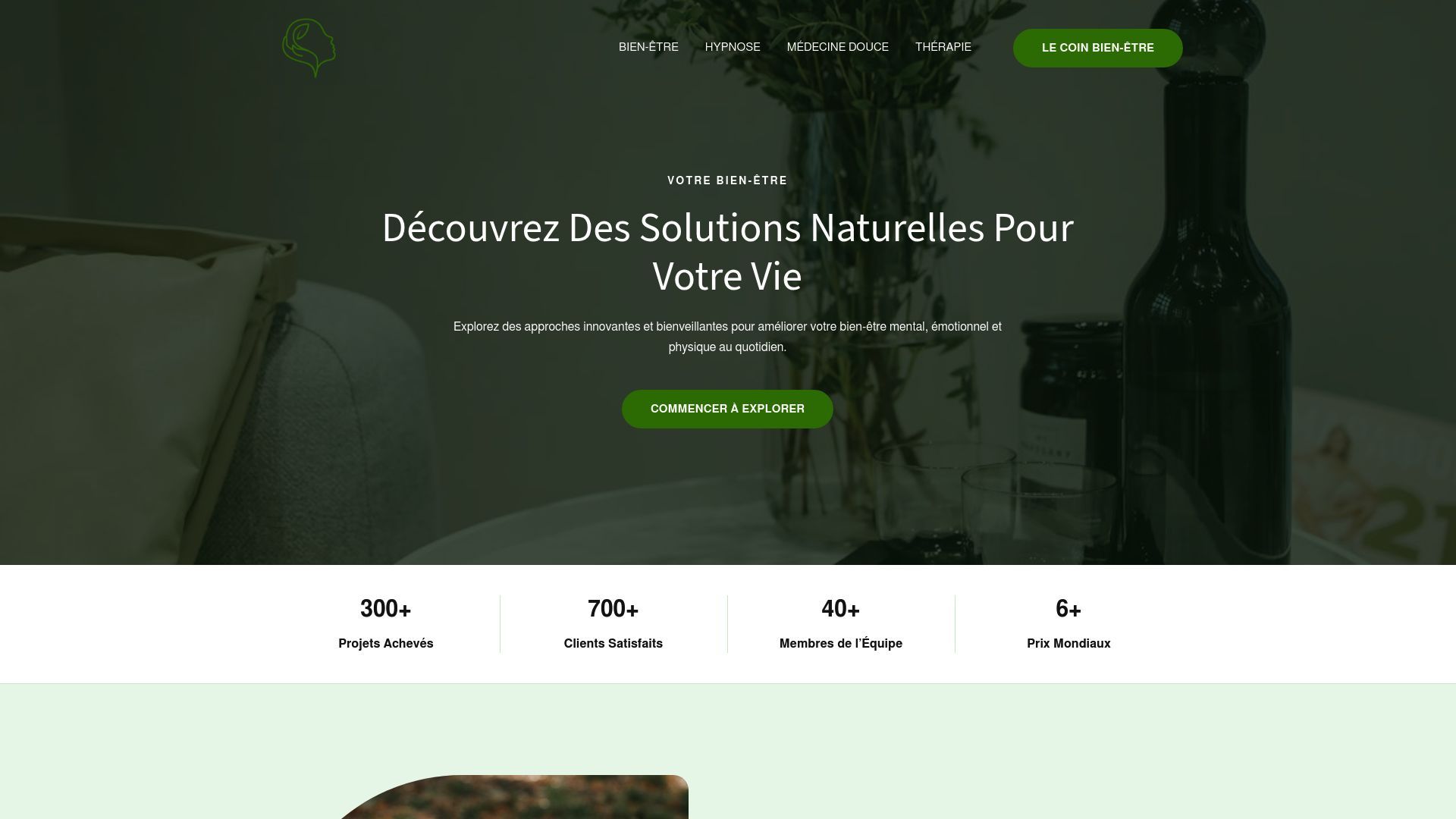 Aperçu de toutelaverite.fr