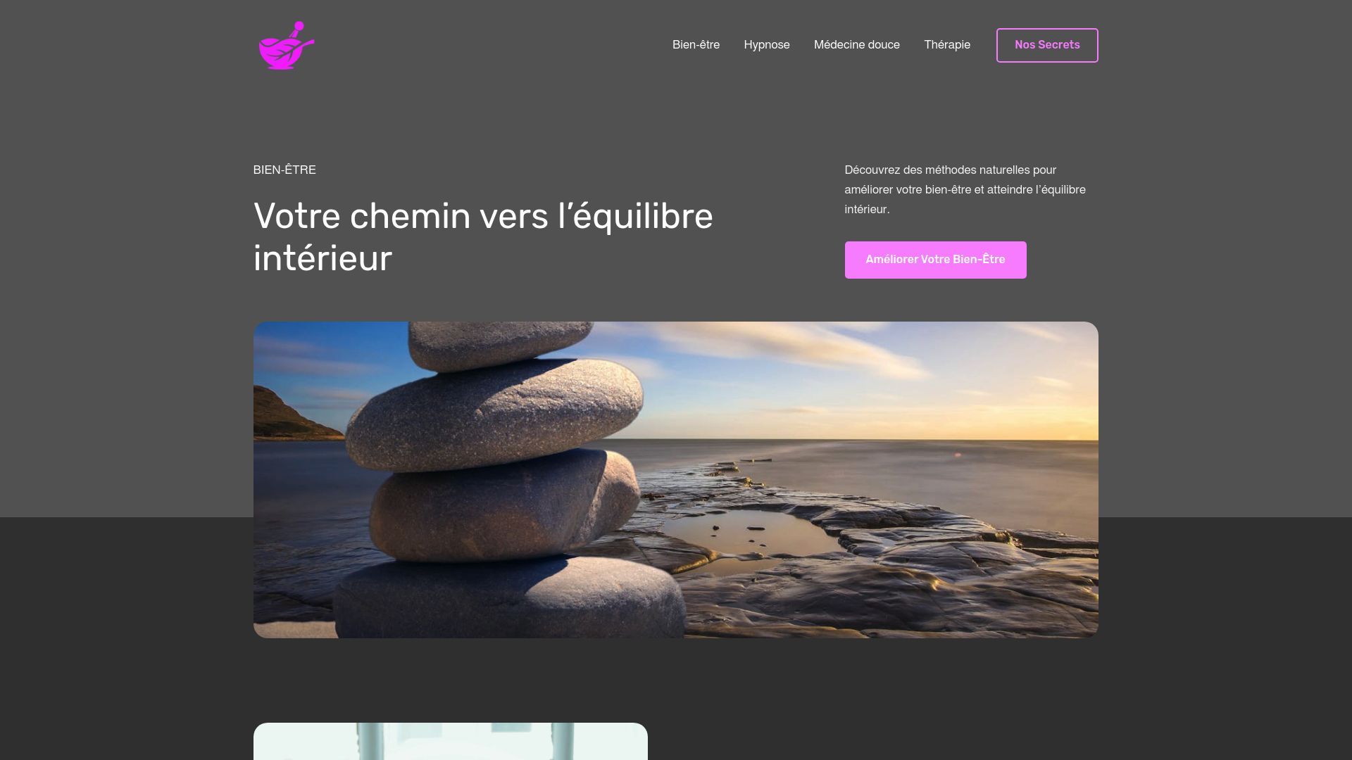 Aperçu de agnitum.fr