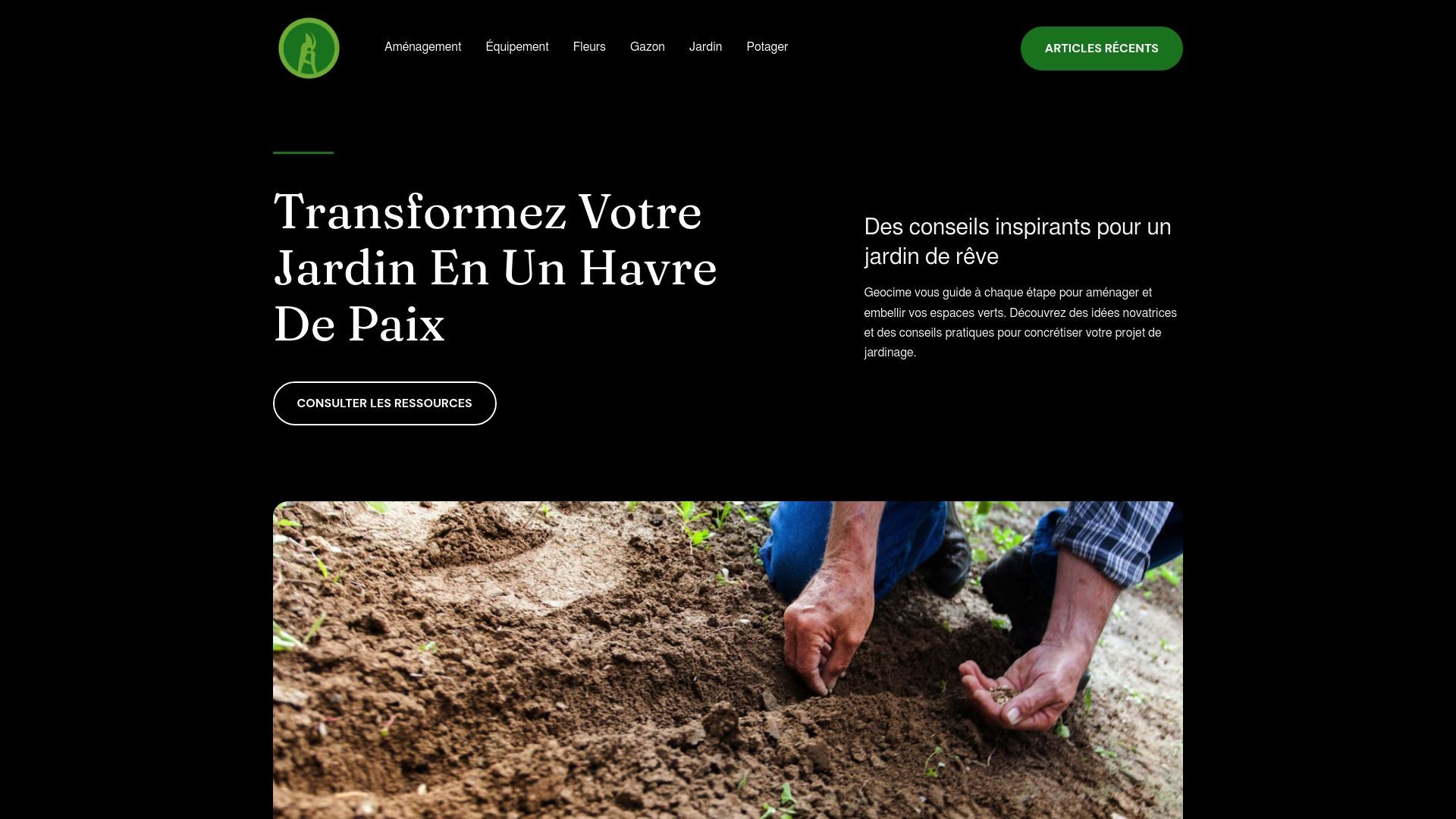 Aperçu de geocime.fr