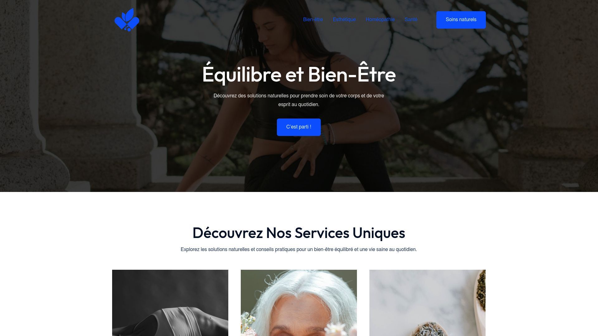 Aperçu de vie-en-sante.fr