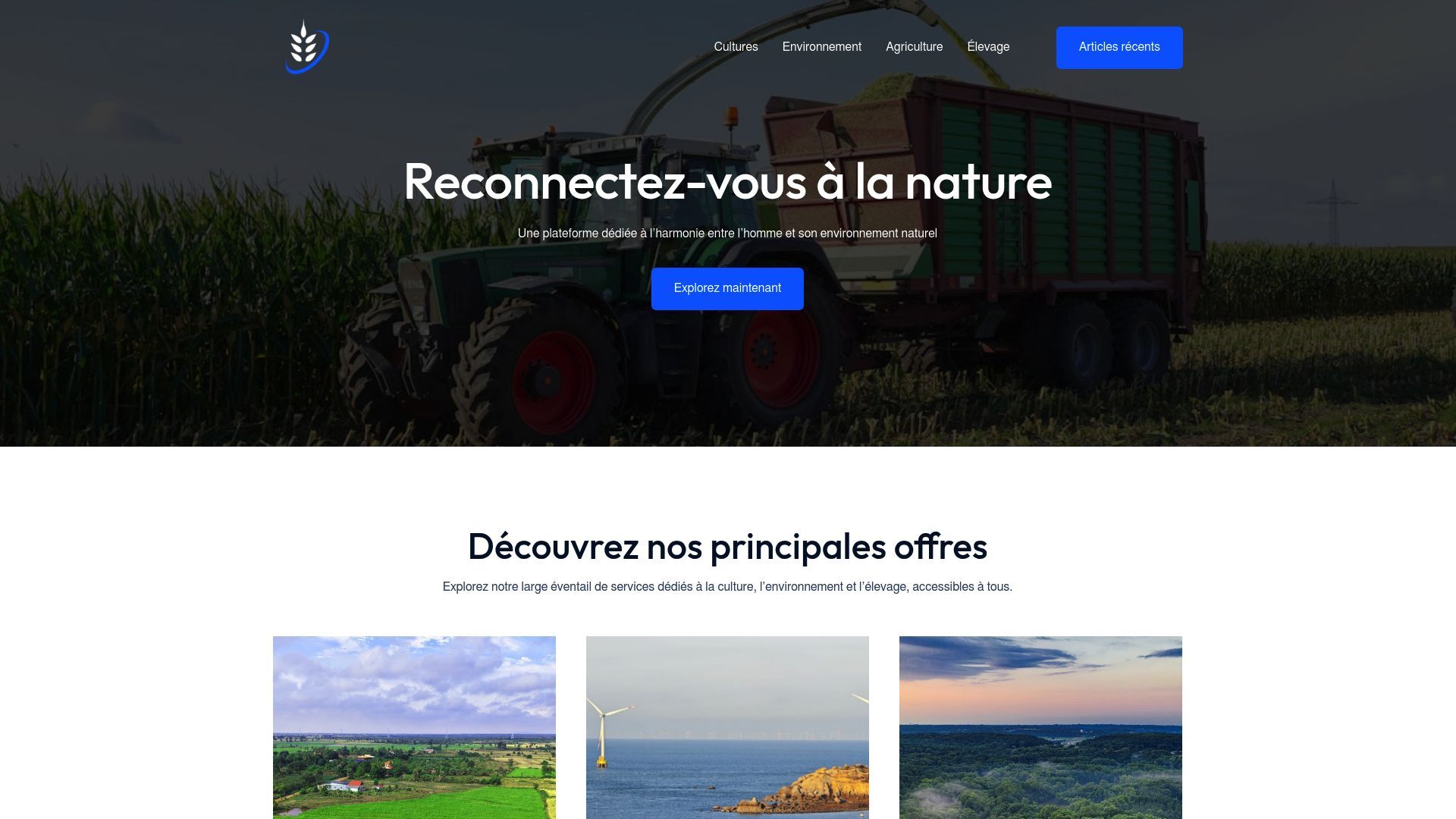 Aperçu de bonheur-reussite.fr