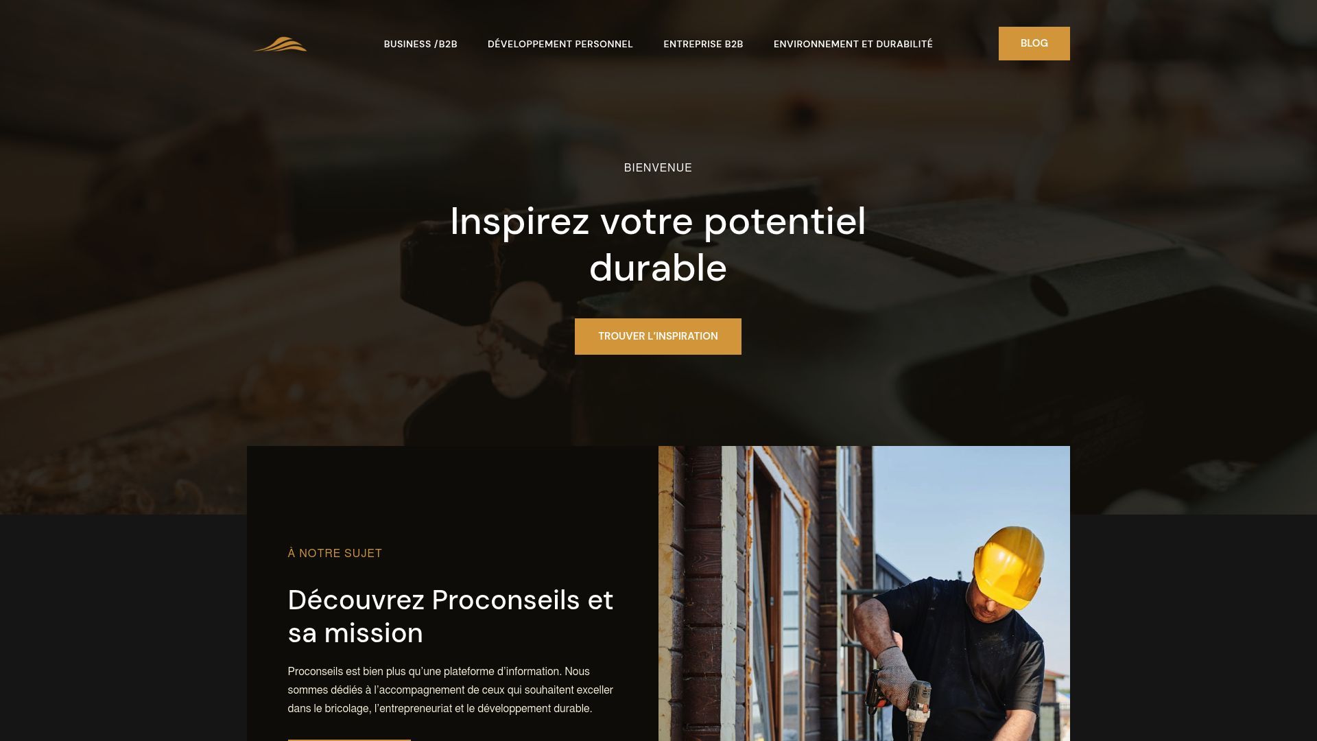 Aperçu de proconseils.fr