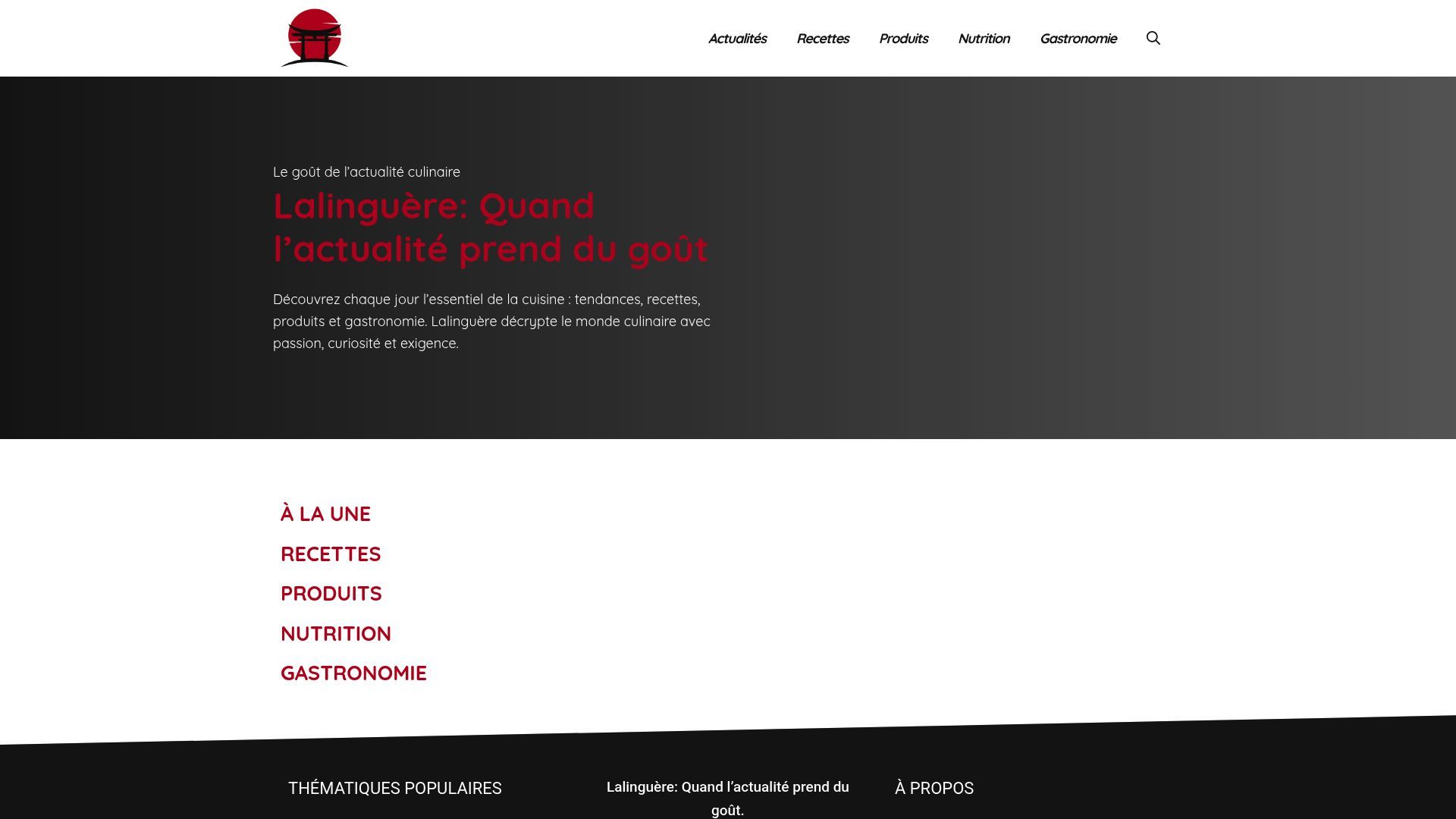 Aperçu de ozakaya.fr