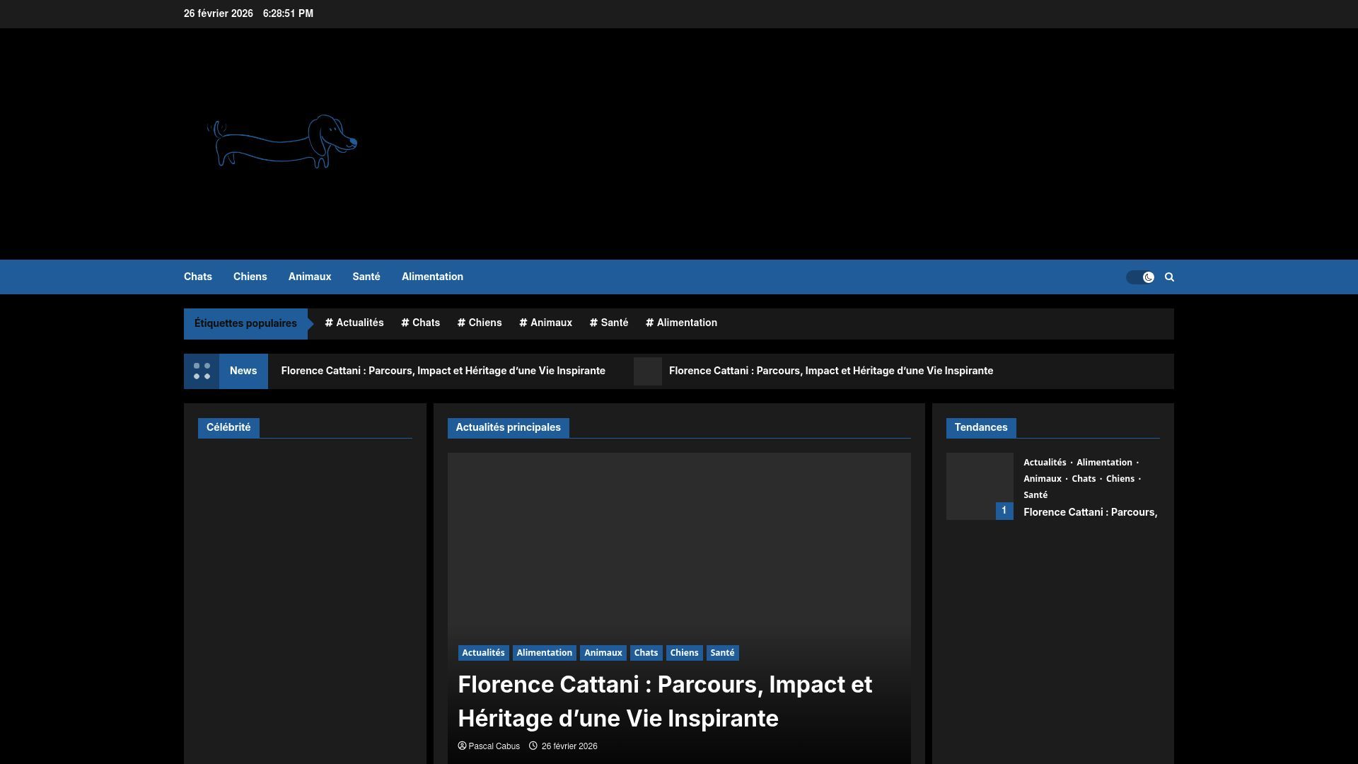 Preview of lesmilleetunetruffes.fr