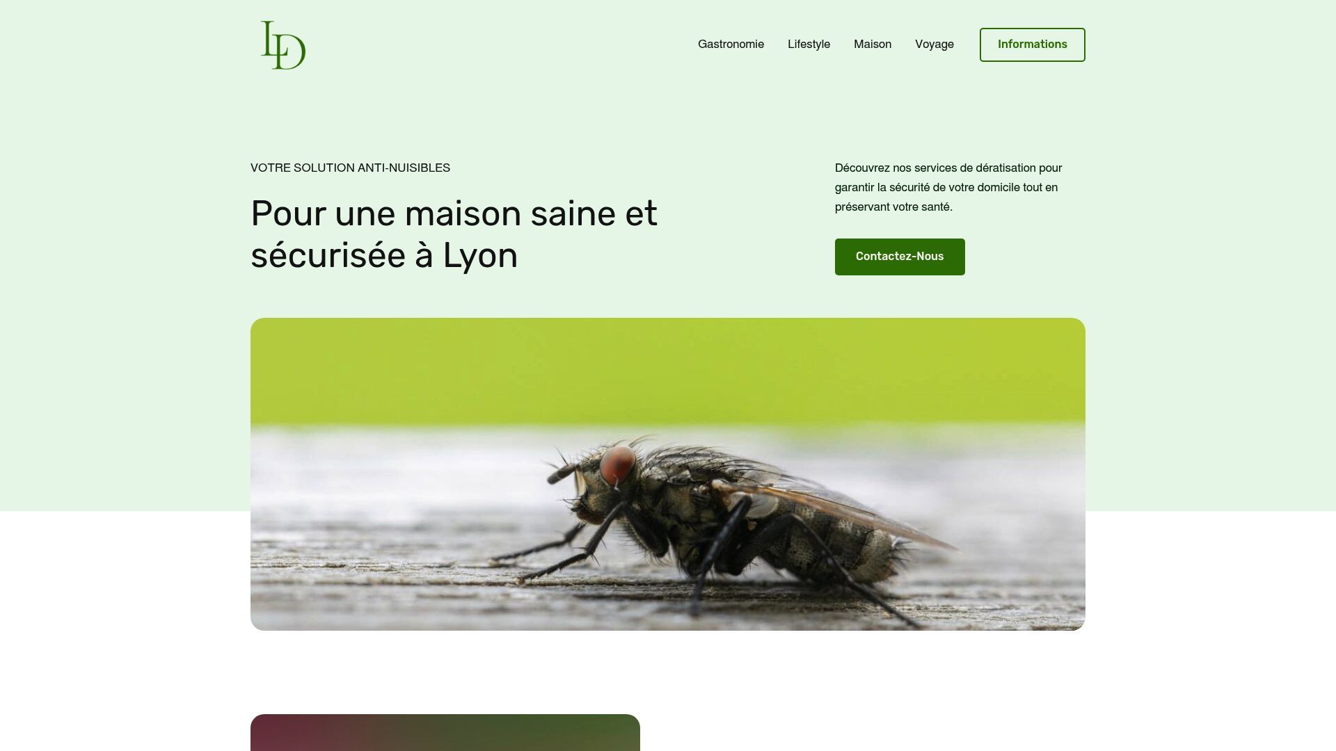 Screenshot of lyon-deratisation.fr
