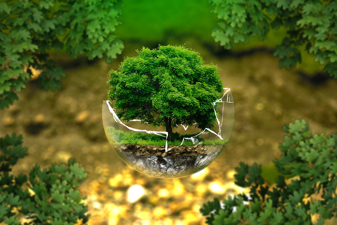 Comment adopter un mode de vie plus écologique